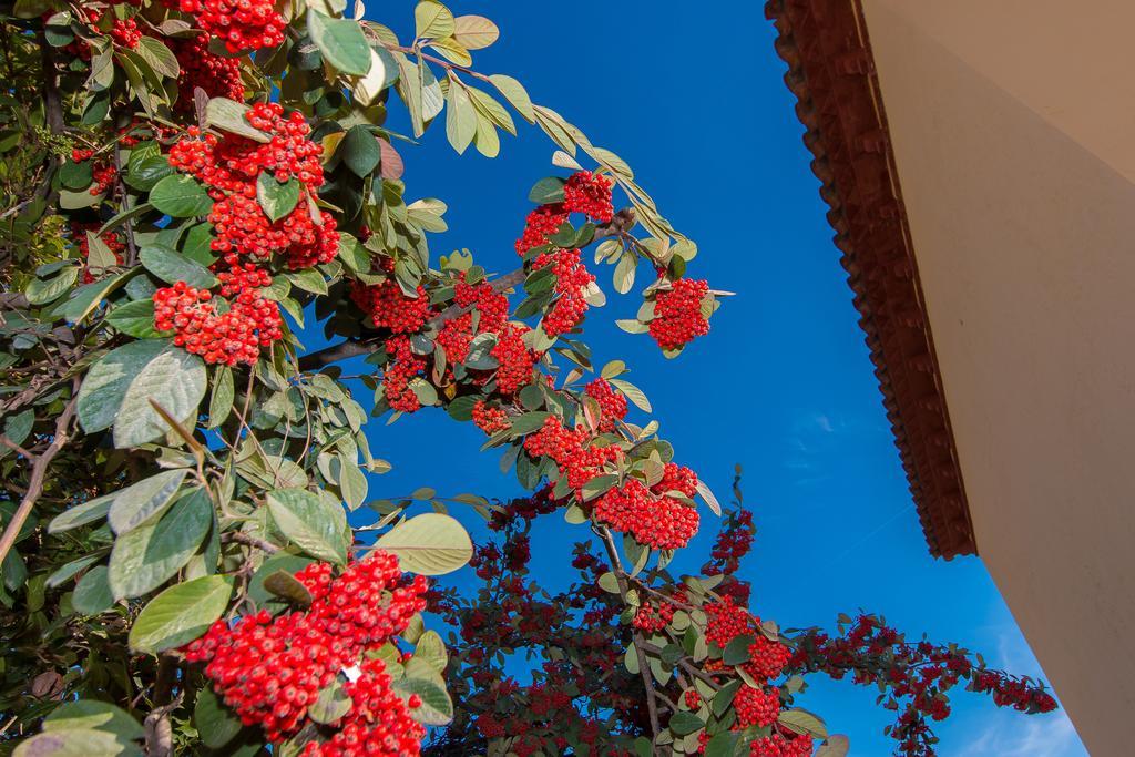 Villa Tu Casa En Barcelona Sant Cugat del Vallès Camera foto
